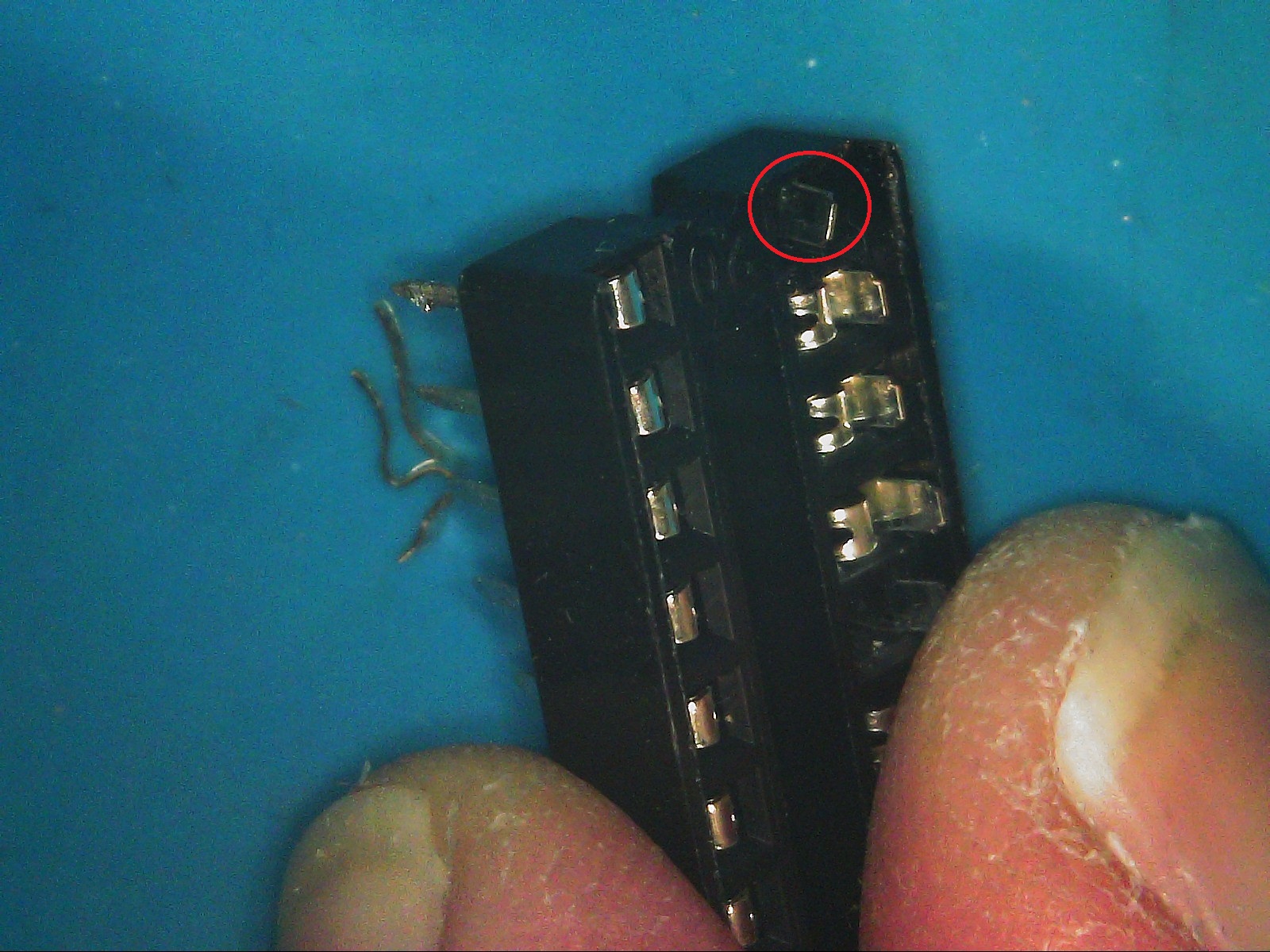 S20251101_0009.jpg